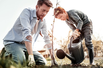 Severe small man watering tree from watering can © Viacheslav Yakobchuk