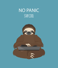The story of one sloth. At work, study. Funny cartoon sloths in different postures set © a7880ss
