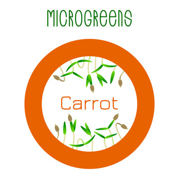 Microgreens Carrot. Seed packaging design, round element