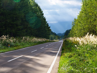 北海道の一本道