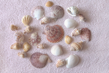 Fototapeta na wymiar Collection of sea shells on a beach towel
