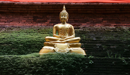 Golden Buddha on the bush 