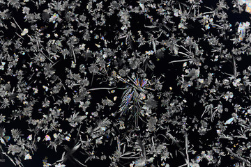 Colorful micro crystals in polarized light. Photo through a microscope.