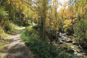 Golden autumn in the Altai region in Russia. Beautiful landscape - road in autumn forest