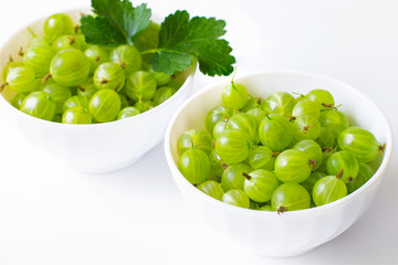 fresh green gooseberry berries in white cups on white background. gooseberry closeup.