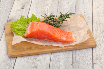Piece of raw salmon