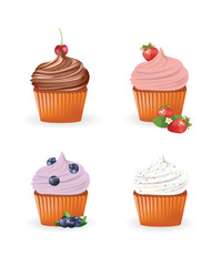 Set of four cupcakes, vector