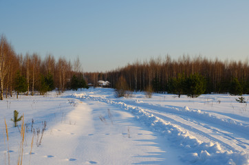 Fototapeta premium winter landscape with road and trees