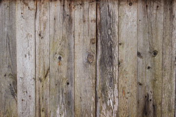 Texture of old boards. Old fence in rural style. Copy space.