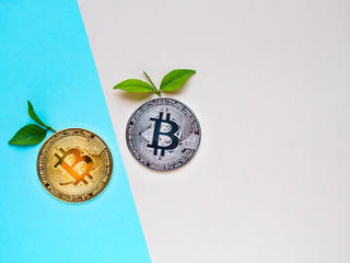 Bitcoins with leafs on blue and pink background