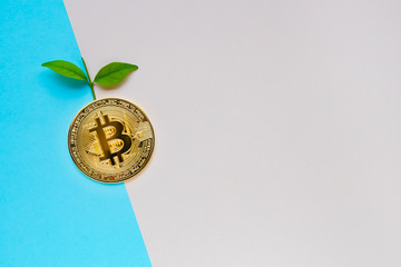 Golden Bitcoin with leafs