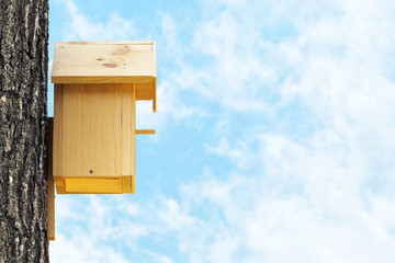 Birdhouse on a tree against the blue sky. Bird house nailed to the trunk of a tree. Spring, nature conservation concept. Copy space