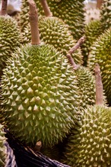 Durian