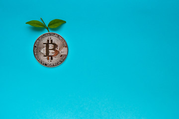 Bitcoins with leafs on blue background