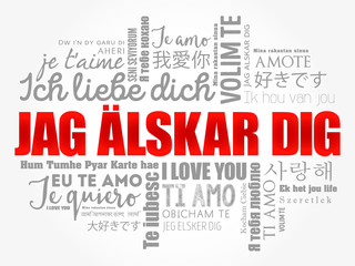 Jag alskar dig (I Love You in Swedish) in different languages of the world, word cloud background