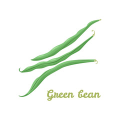 Vector illustration of green bean pods.  Flat icon isolated on white. Vegetable.