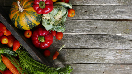 Healthy food. Organic vegetables. Fresh vegetables with herbs. On wooden background.