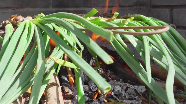closeup of some calcots, sweet green onions typical of Catalonia, being cooked in a barbecue. Calsotada or calcotada is an annual event, taking place in february or march, in Catalonia celebrating the