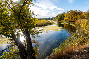 Fototapeta na wymiar river slipping into the distance in yellow, autumn colors