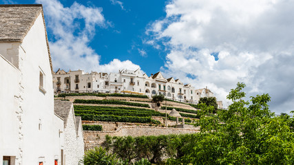 Locorotondo and the Itria valley. Between white houses and Trulli. Puglia, Italy