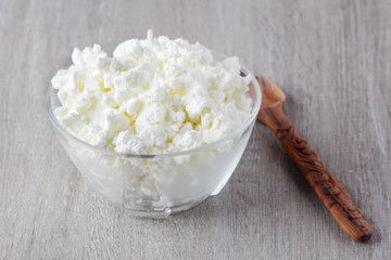 A bowl with plain Russian cottage cheese called tvorog