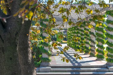An outdoor gallery in the Parque de El Retiro in Madrid, Spain, lined with pillars that has green vines spiralling from the bottom to the top. 