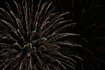 Close-up photo of fireworks exploding in the night sky