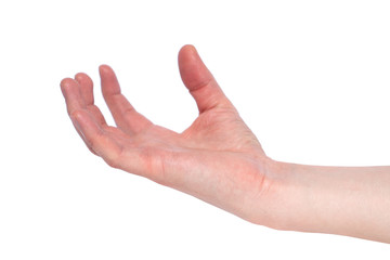 Empty male hand making gesture like holding something isolated on white background.