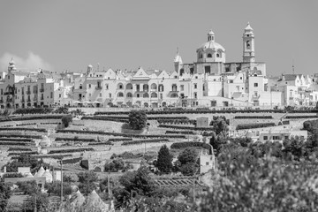 Naklejka premium Locorotondo and the Itria valley. Between white houses and Trulli. Puglia, Italy