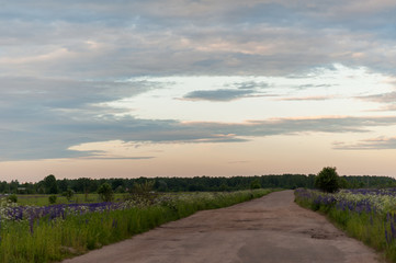 Fototapeta na wymiar sunset country road