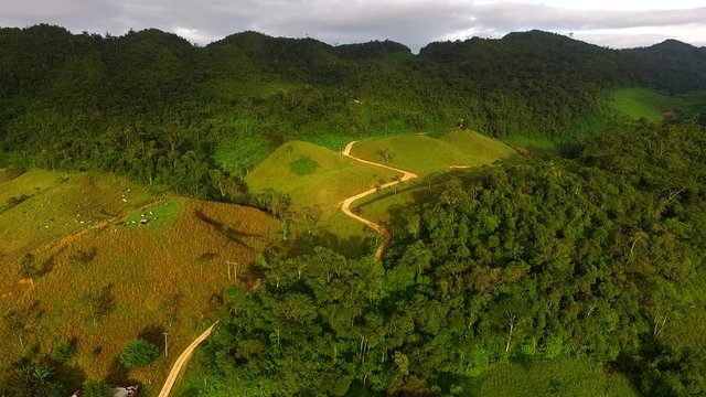 Selva Lacandona Chiapas, M&eacute;xico