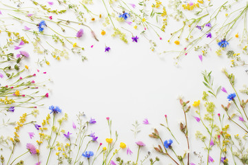 summer flowers on white paper background