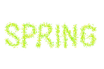 text spring light green pattern maple leaves spring flora design juicy bright base decoration on a white background