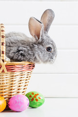 Easter bunny with eggs on white background