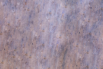 beige wooden background oak base design rustic natural panel with knots