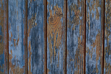 vertical parallel boards gray weathered old wooden surface grunge style background. Old boards flaking paint