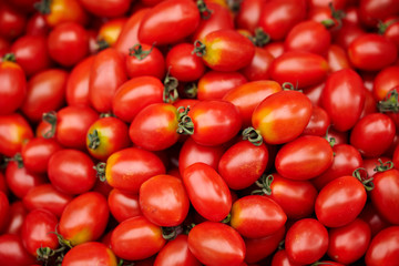 bunch of tomatoes