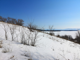 Winter Russian forest landscape with trees in early spring, melting snow
