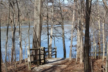 A lake view from the hiking trail in the bare tree forest.
