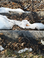 The texture of the stone staircase in the melting snow in March, in Russia closeup