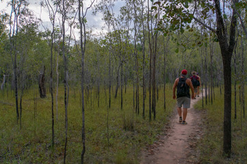 Fototapeta premium tourists hiking in kakadu national park, northern terotorry, northern territory, australia