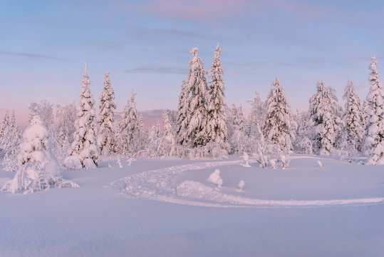 Winter landscapes in Lapland near Sirkka, Finland