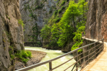 wooden bridge in the gorge