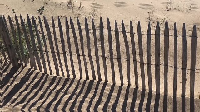 Au bord de l'oc&eacute;an, palissade dans le sable