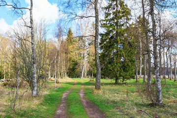 Obraz premium Dirt road through the pasture in spring