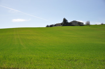 Colline di Ostra