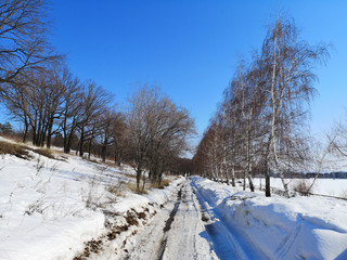 Melting snow on the road in the Russian landscape early spring