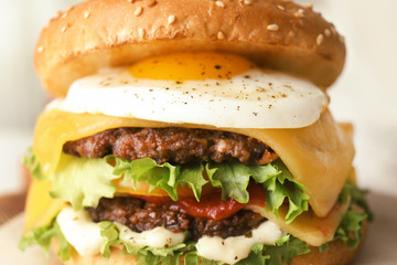 Closeup view of tasty burger with fried egg