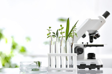 Laboratory glassware with different plants and microscope on table against blurred background,...