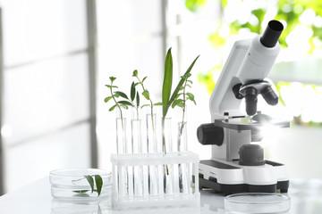 Laboratory glassware with different plants and microscope on table against blurred background....